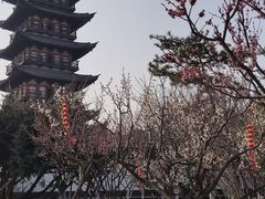 -上海方塔园