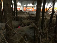 -淮海战役纪念馆
