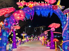-沈阳奥体冰雪嘉年华
