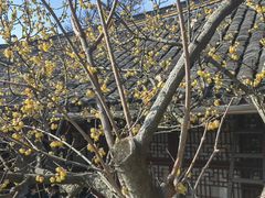 -狼山风景名胜区