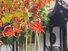 -梅园