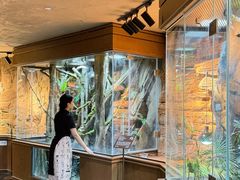 -帕帕拉兹宠物(亚洲旗舰店)