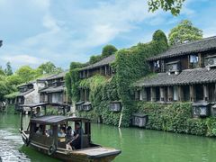 -乌镇景区