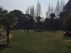 -上海植物园·停车场