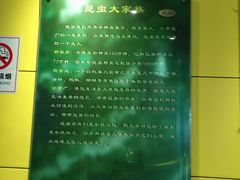 -上海昆虫博物馆