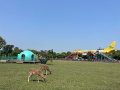 -苏州太湖西山岛开心农场