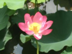 -江南大学(蠡湖校区)