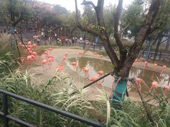 -武汉动物园