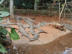 -海南热带野生动植物园
