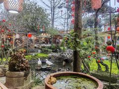 -青城甲(青城山店)