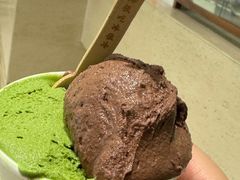 -鹤茶野所(上海首店)