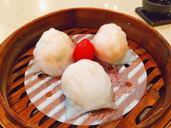金牌虾饺皇-点都德(华强南店)