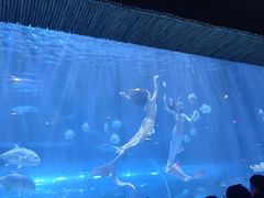 -华夏文旅海洋公园