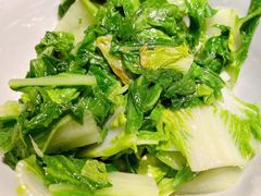 清炒毛白菜-姐夫的小菜(新中关购物中心店)