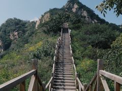 -大岭沟猕猴桃谷风景区