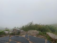 -白草畔自然风景区