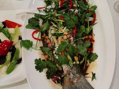 -万年酒楼(越秀南路店)