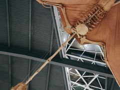 -湖南省地质博物馆