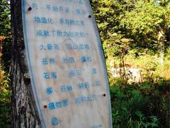 iphone_upload_pic-凤凰山国家森林公园