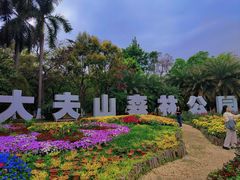 -番禺大夫山森林公园