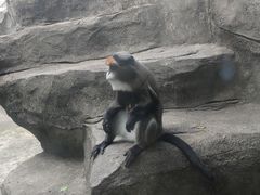 -南昌动物园
