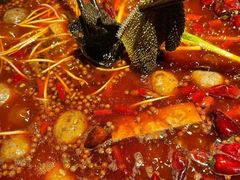 -水巷子·巴掌腰片重庆火锅(巧家店)