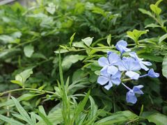-广州市紫泥堂文化创意园景区