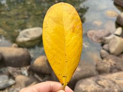 -白塘生态植物园