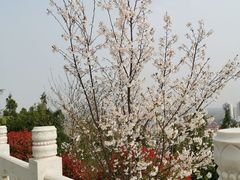 -铁道游击队纪念馆