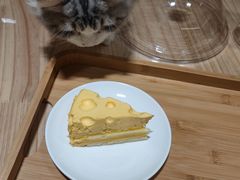 -猫腻·猫咖·撸猫馆(星光大道店)