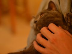 -树洞咖啡(科大店)