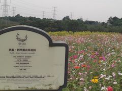 -紫颐香薰山谷景区