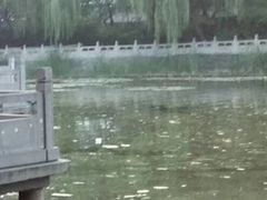 -文瀛公园