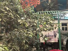 -漕河全驴宴饭店(徐水店)