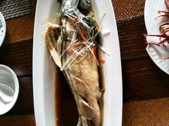 -铂尔台州菜(铂尔国际店)