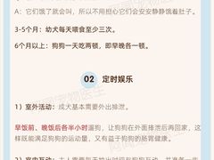 -瑞鹏宠物医院犬猫全科(真大分院)