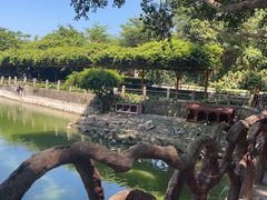 -三亚湾红树林度假世界(木棉酒店)