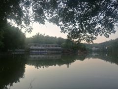 -三水森林公园
