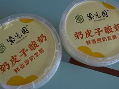 自制酸奶-紫光园(马桥店)