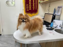 -德元·美联众合24小时动物医院(总院)