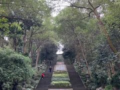 -忠山公园