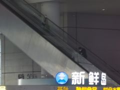 -新鲜岛