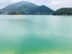 -广州市流溪河国家森林公园
