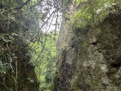 -青城山