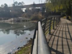 -美兰湖景区