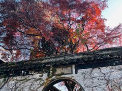 -惠山古镇·寄畅园