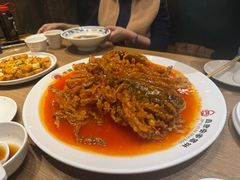 -直隶安家罩饼(复兴路店)