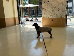 -小意思咖啡店(草桥店)