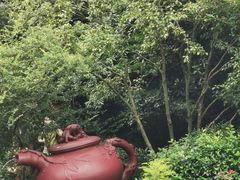 -十八棵（老龙井）御茶园(老龙井店)