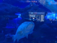 -成都浩海立方海洋公园